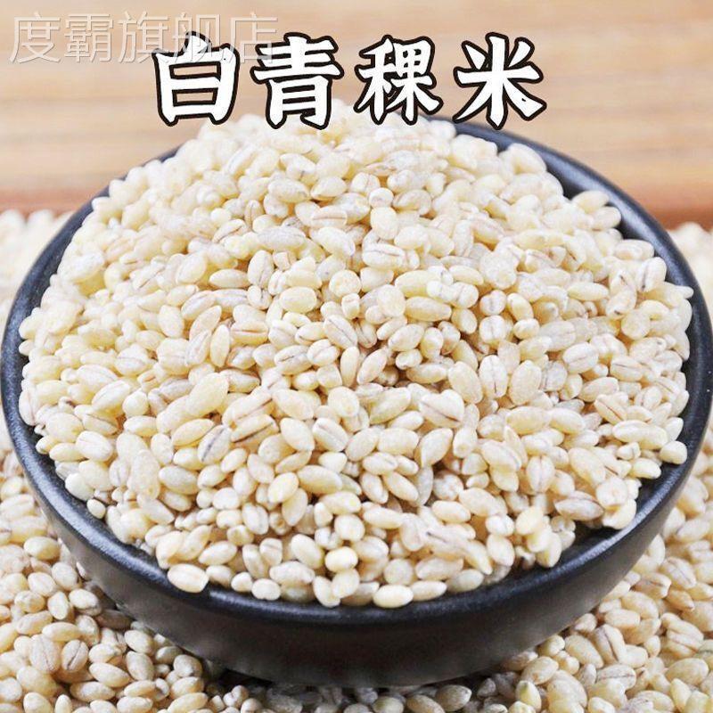 白青稞米青海高原谷物优质西藏青稞低脂五谷杂粮大麦仁杂粮新米
