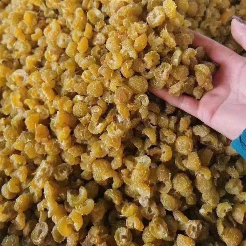 云南橄榄干野生滇橄榄干余