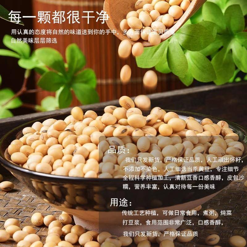 农家自种笨椭圆黄豆500g土大豆长粒肾型酱豆豆浆原料老品种可发芽