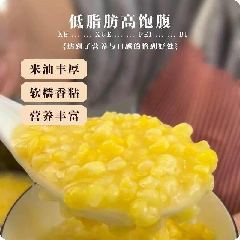 青稞玉米碴子米饭伴侣1斤东北特产熟碴子黄金糯黏吊子苞米