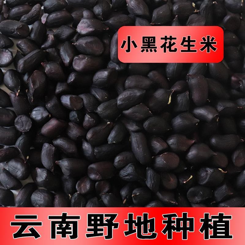 黑花生米生的去壳新货云南特产富硒小粒黑皮种籽子真正老品种原味