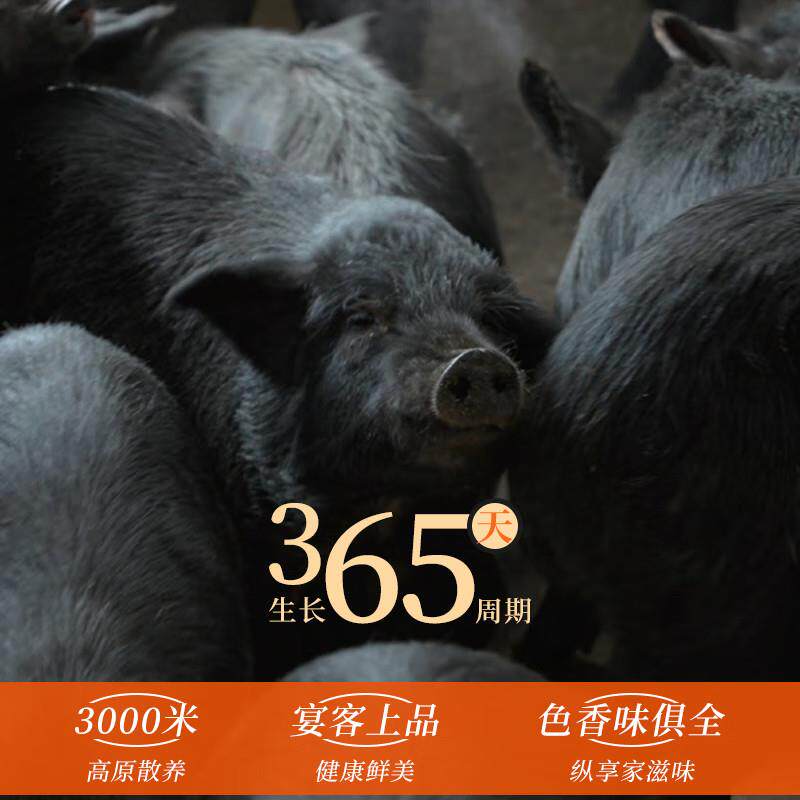年货藏香猪后腿肉新鲜前腿