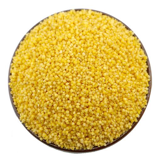 米香油厚黄小米新米农家自种食用粘糯米粗粮食五谷杂粮黄金小米粥