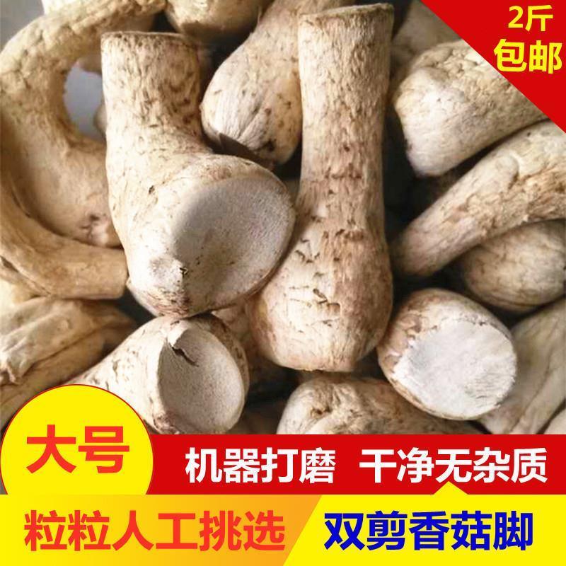 向老伯500g双剪大香菇脚