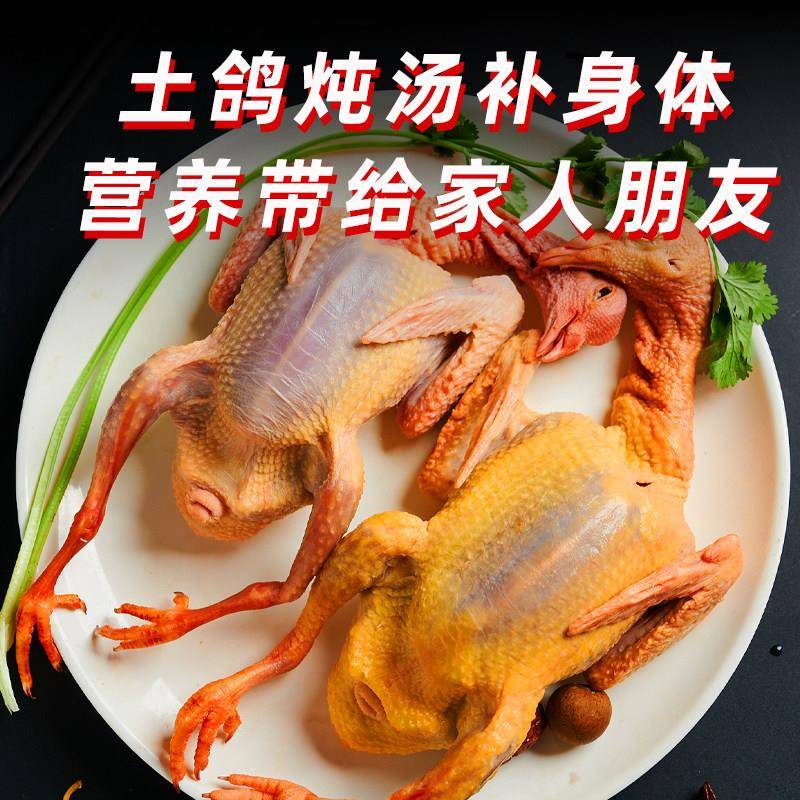 新品鸽子新鲜现杀乳鸽生鲜非老鸽子土鸽子鸽子肉鸽子炖汤农家土鸽
