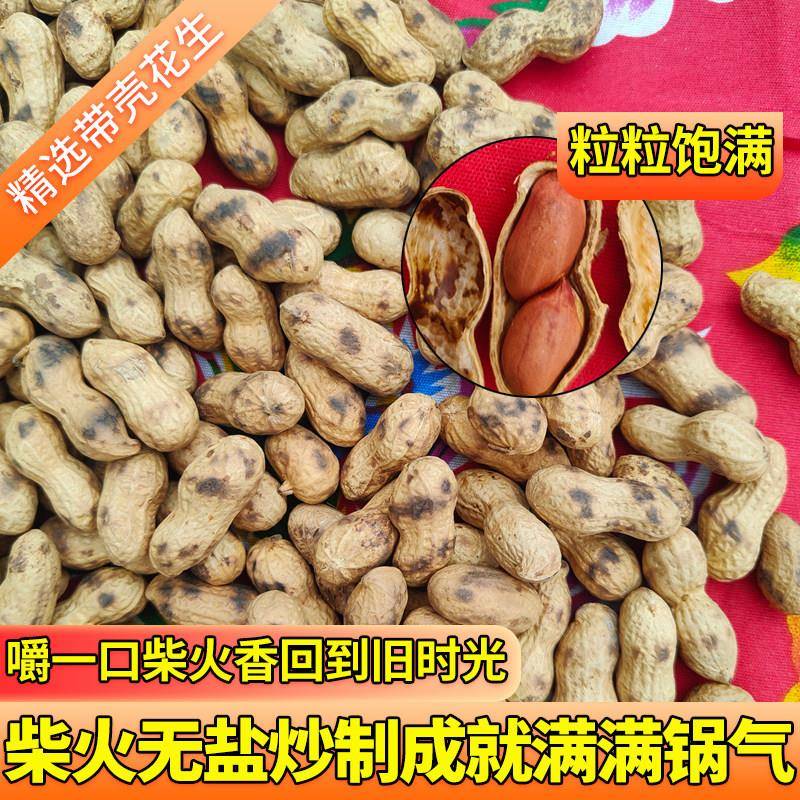 东北炒花生锦州义县新鲜货农家铁锅柴火带壳原味晒干生小子熟零食