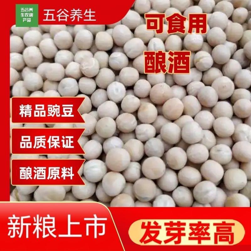 当季白碗豆面馆配料发芽喂鸽子酿酒生干豌豆正宗官方旗舰店
