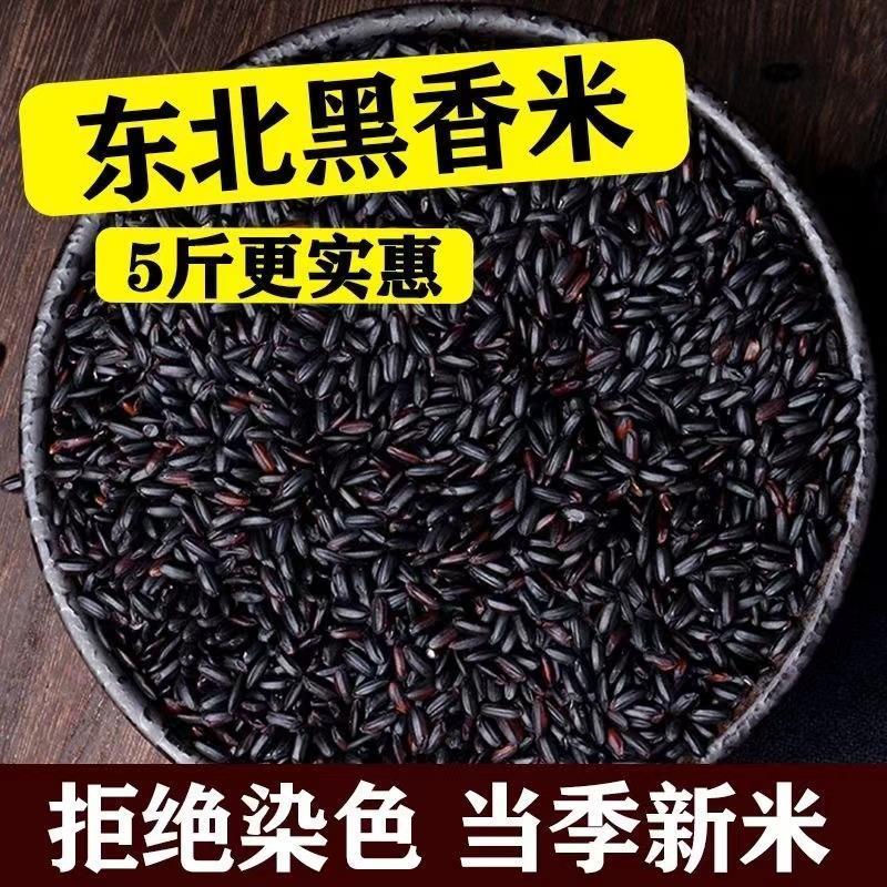 正宗黑米新米小包装东北黑