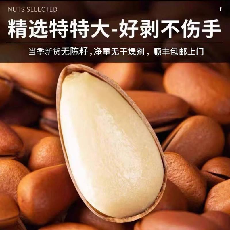 松子2025新货东北特产大颗粒薄皮大开口坚果干果袋装净重