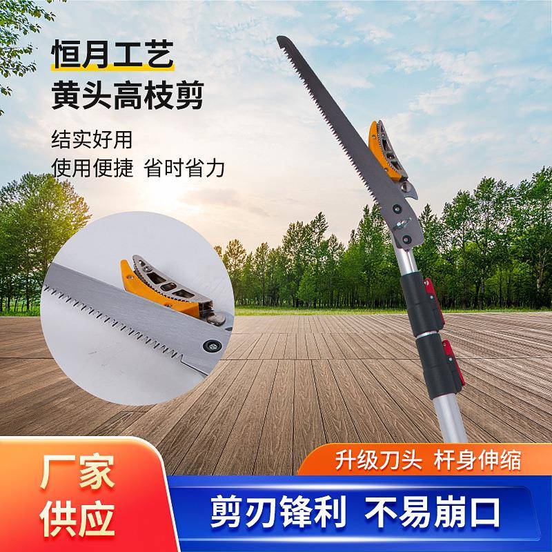 伸缩高枝剪水果高空剪修枝剪龙眼苹果摘果剪荔枝采摘果器