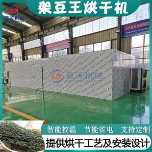 大型架豆王烘干机泰国架豆王长豇豆脱水烘干房芸豆豆角丝干燥机