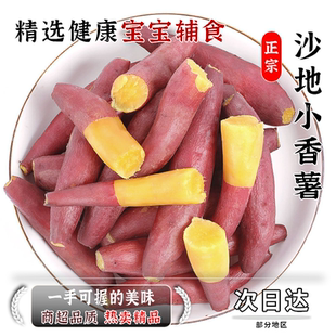 农家香甜粉糯天目薯现挖小番薯农家小香板栗番薯红薯现发新鲜正宗