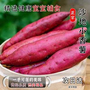 新鲜正宗农家小香板栗薯红薯天目薯农家香甜粉糯现挖小番薯番现发