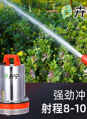 直流潜水泵12V24Vp48V60V伏电动车抽水泵浇菜水泵浇水泵抽水机