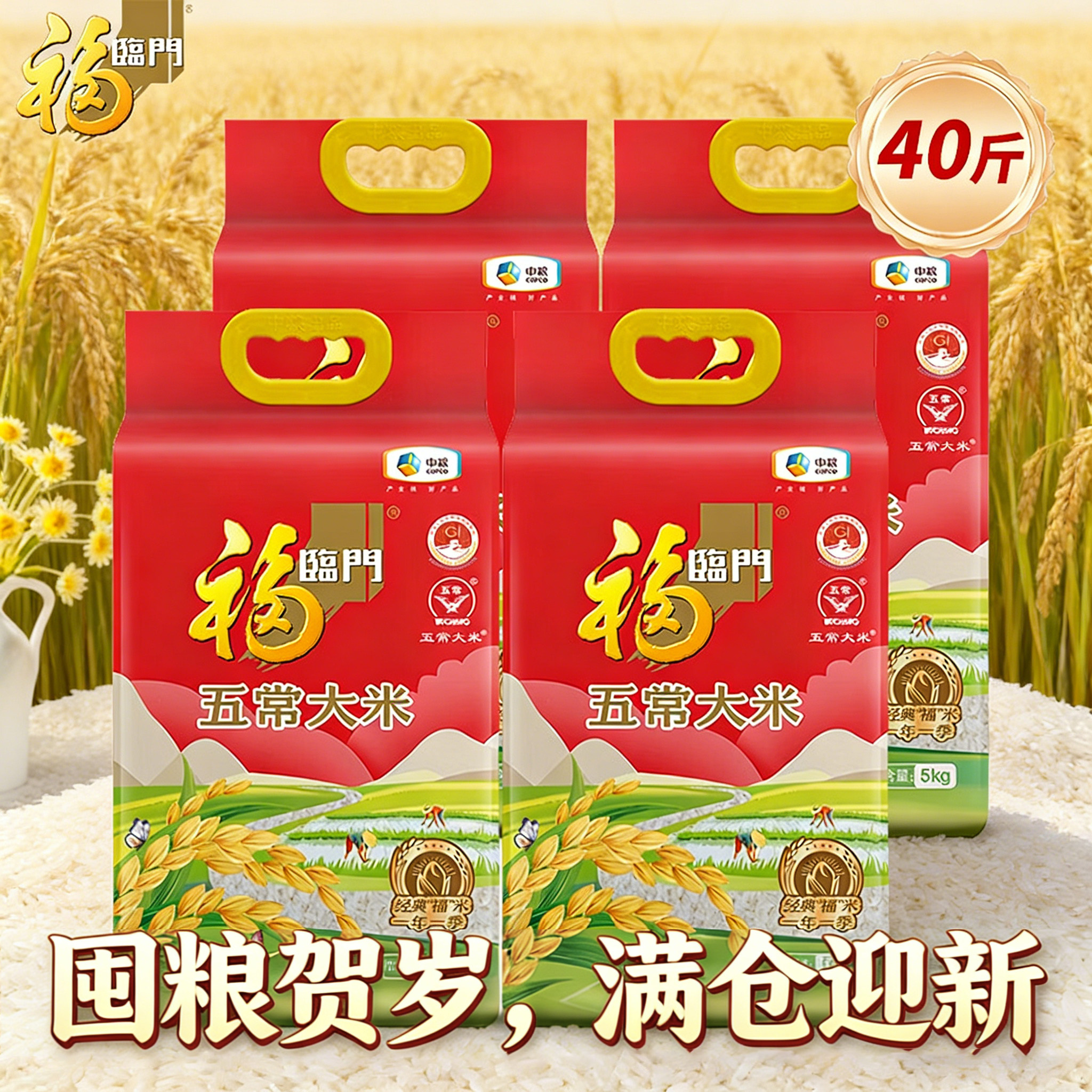 【2025年新米】福临门五常大米5kg*4袋GB/T19266真空包装东北大米