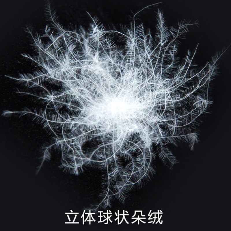 【现场制作】98白鹅绒被单胎被子母被羽绒被冬被春秋被加厚保暖