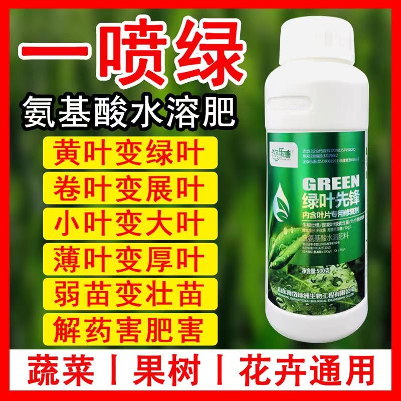 一喷绿氨基酸叶面肥果树专用蔬菜花卉通用微量元素农用喷雾绿叶肥