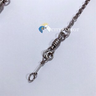 中小型鹦鹉不锈钢外出链站架链开脚环牡丹玄凤凯克鸟站架脚链