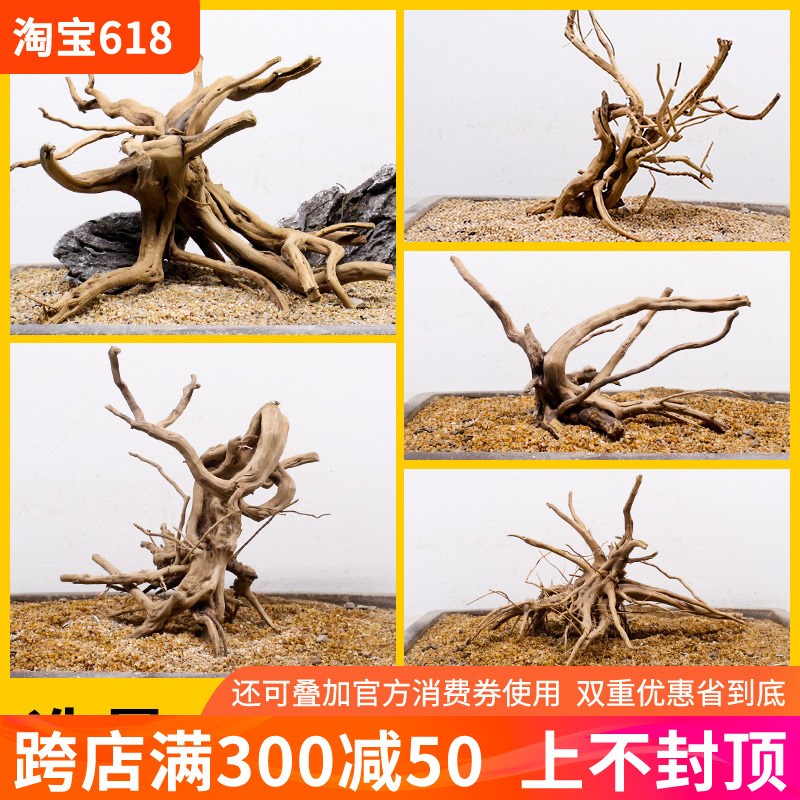 鱼缸造景沉木小号栖根杜鹃根造型树根一木成景小草缸专用莫斯树桩