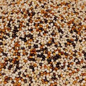 五色黍子虎皮牡丹玄凤中小型鹦鹉鸟食饲料鹦鹉混合粮谷子 5斤 包邮