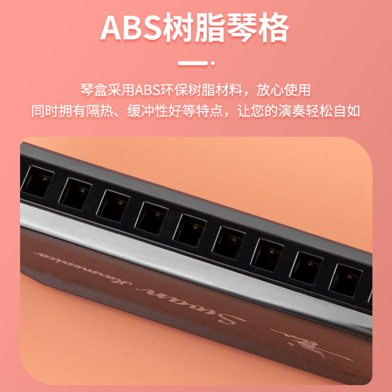 天鹅10孔布鲁斯口琴蓝调C调演奏十孔儿童入门学生成人初学者自学