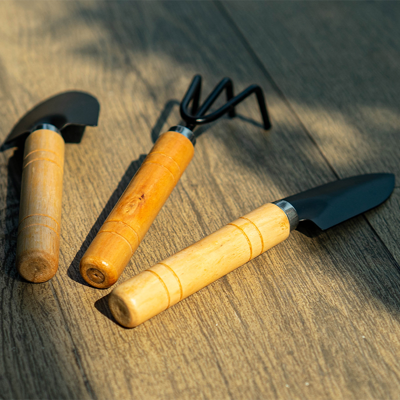 园艺三件套铁铲铁耙铁楸迷你套装工具家庭种植多肉挖土木柄盆栽