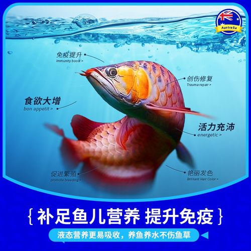 汤本臣鱼愈19号龙鱼活力营养液观赏鱼专用营养液水族鱼缸益生菌剂