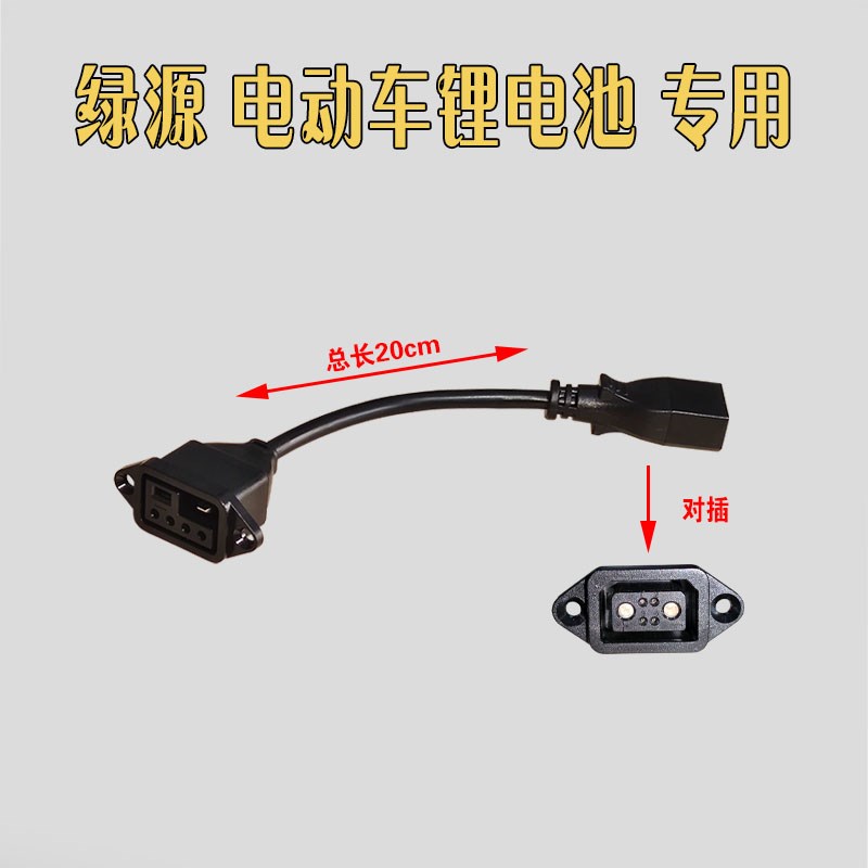 绿源电动车充电器新国标插头2+4插头转换接头直接给锂电池充电48V