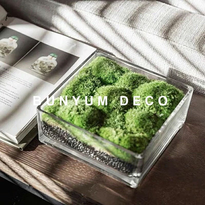 本与样板间客厅方形玻璃苔藓花艺摆件售楼处洽谈桌圆形绿植软装饰