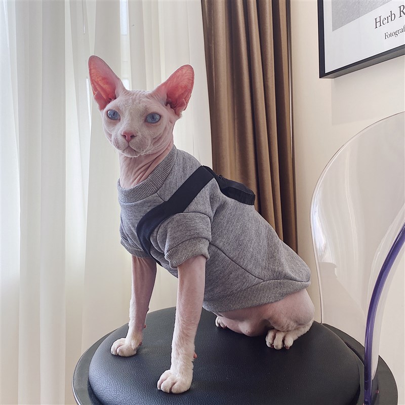 SPHYNX PLANE德文衣服无毛猫斯芬克斯纯棉秋冬超厚加绒保暖卫衣
