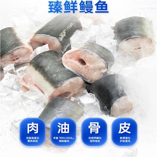 【新品】造藏鳗鱼兔肉主食冻干猫粮增肥发腮美毛零食冻干送试吃