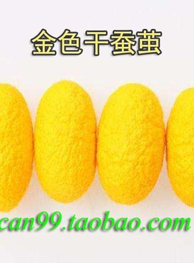 金丝蚕卵吃桑叶结金色丝蚕种28000粒一盒包邮另有红绿蚕卵大量供
