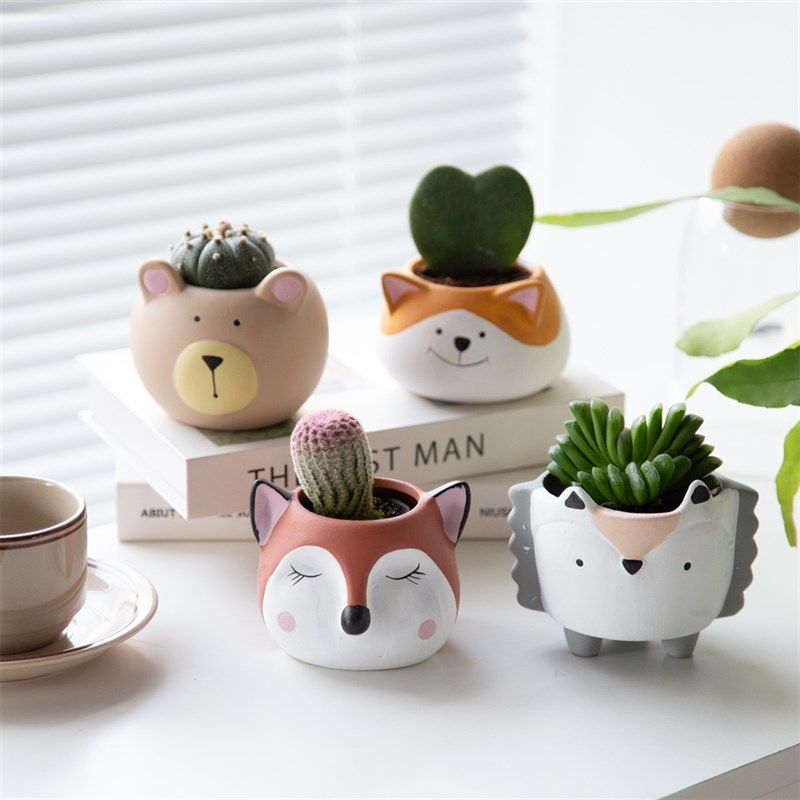 卡通动物盆栽多肉植物组合套餐新手可爱无刺好养幼儿园礼物室内花