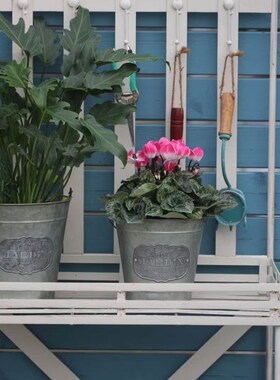 SHANGPIN欧式铁艺凹槽花架户外双层置物收纳庭院装饰架