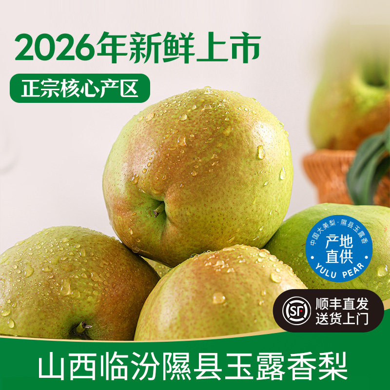 2026年当季正宗山西隰县玉露香梨子新鲜水果皮薄脆甜多汁临汾特产