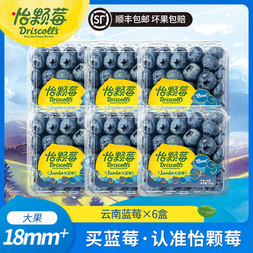 怡颗莓云南蓝莓新鲜酸甜