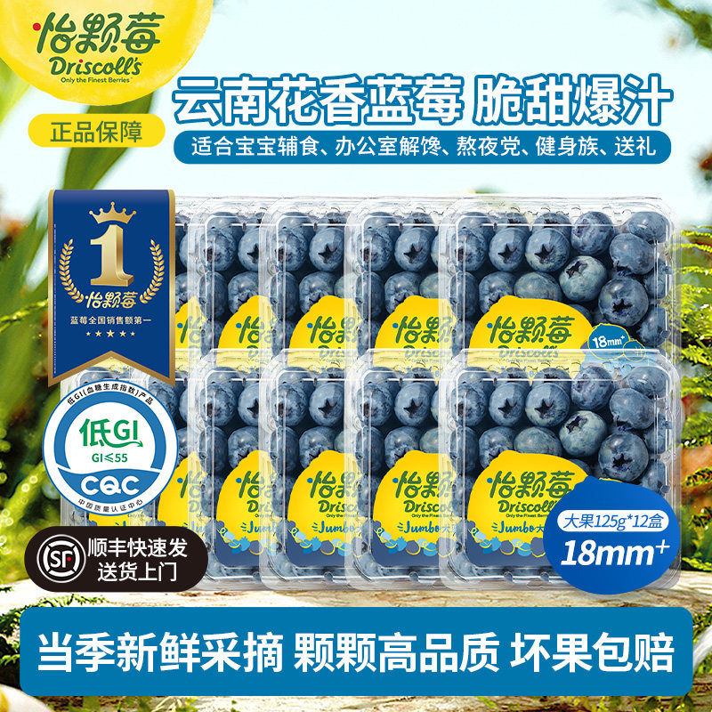 Driscoll's怡颗莓云南花香蓝莓 酸甜中大果125g/盒 新鲜当季水果