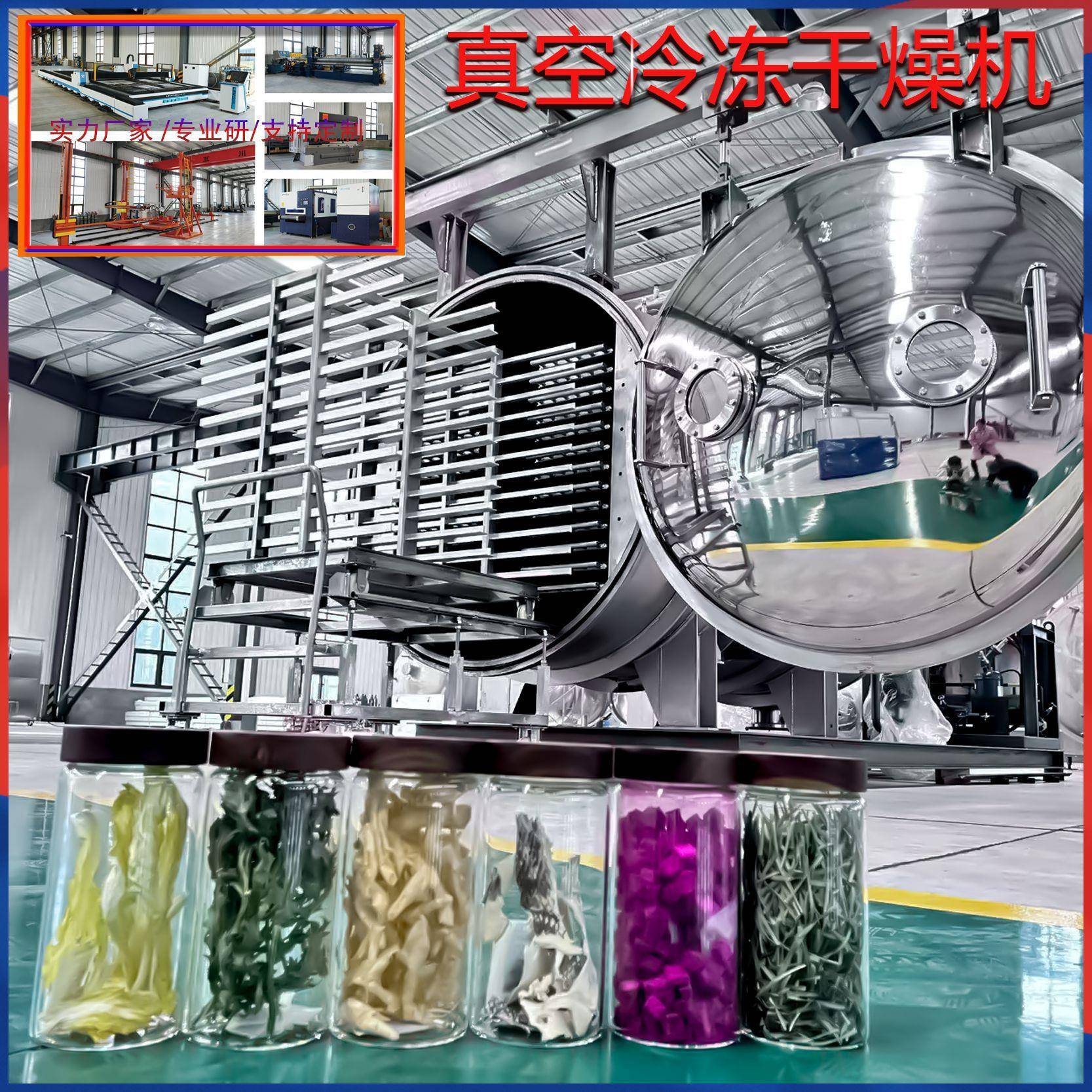 猫粮狗粮宠物食品真空冷冻干燥机猫草棒鱼肉蛋黄低温真空冻干机