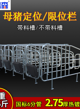 母猪限位栏猪用定位栏加厚镀锌管5位10位猪场设备养猪养殖设备配