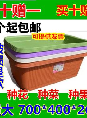 阳台种菜盆神器长方形q花盆特大号塑料家用泡沫箱子家庭蔬菜种植