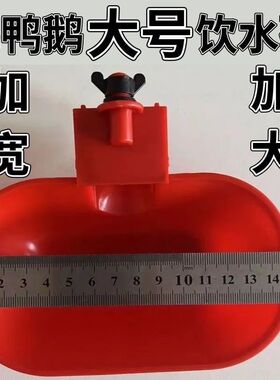 新款特大号鸡鸭鹅自动饮水碗喂水器加大加厚家禽宠物猫狗兔用水碗