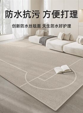 地毯客厅2d024新款轻奢高级沙发毯防水卧室床边毯免打理摄影棚地