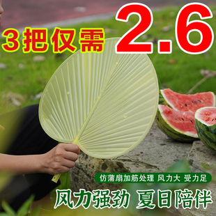 大号新款 芭蕉扇子 塑料手摇蒲扇加大防摔坏传统老式 家用纳凉扇夏季