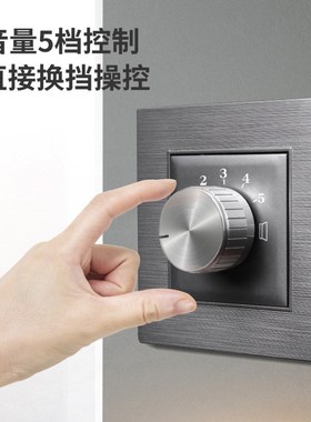 86型灰色拉丝定压喇叭调节音乐音量控制器30W大功率旋钮调音开关