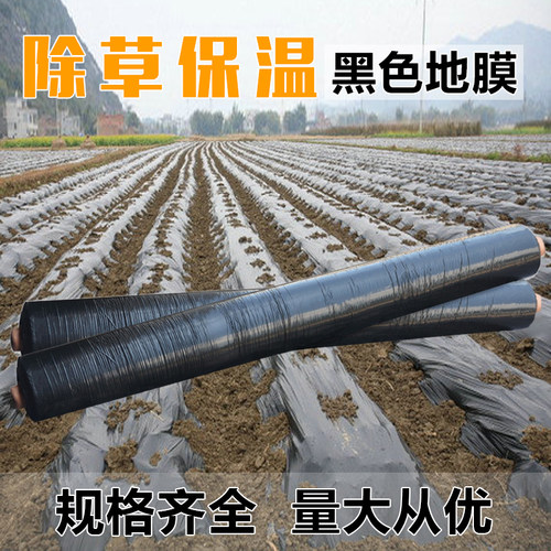 黑色保湿除草保温膜草莓种植农用膜果树双色银黑R地膜农用白色保