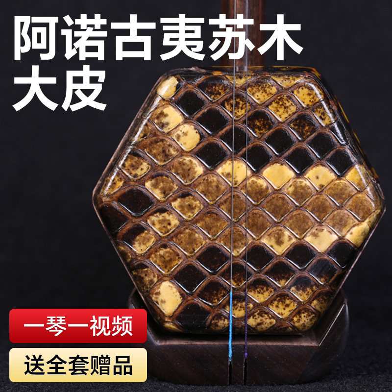 二胡阿诺古夷苏木黑酸q枝大皮二胡琴苏州大音量专业演奏二胡乐器