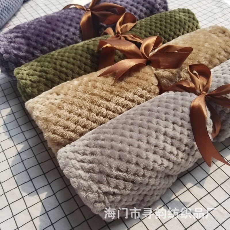 Solid Color Mesh Blanket Coral Fleece BlankPet Knee Blanket