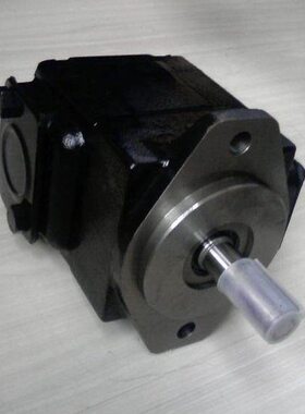 DENISON丹尼逊T6DC 050 028 017 2R00 B1 2R01/2R02/2R03 C1油泵