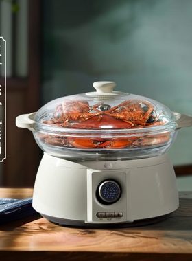 玉叶滋补电蒸锅鲜水蒸锅快速出蒸汽智能海鲜多功能全自动蒸鱼E034