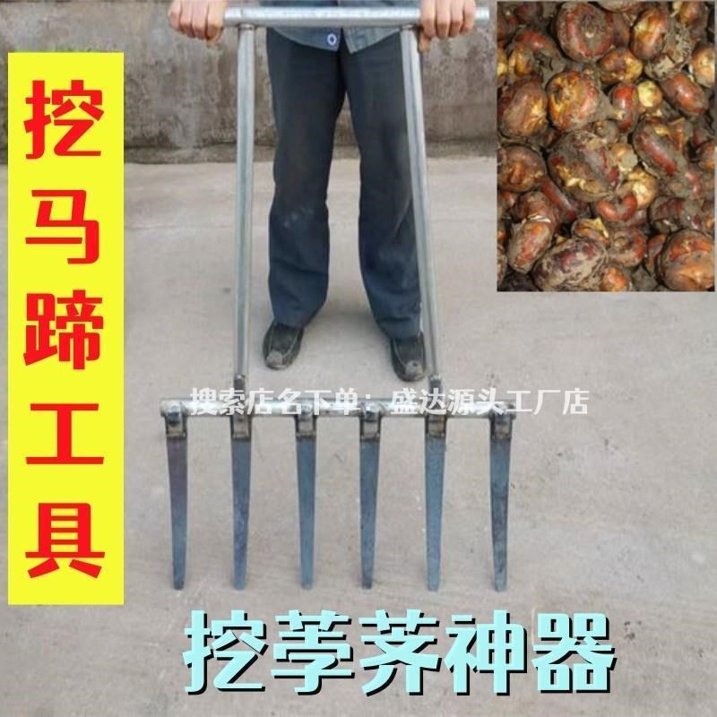 挖马蹄专用工具的农业翻掘荸荠神器钢G叉子翻土地掘铲生姜宽齿刨